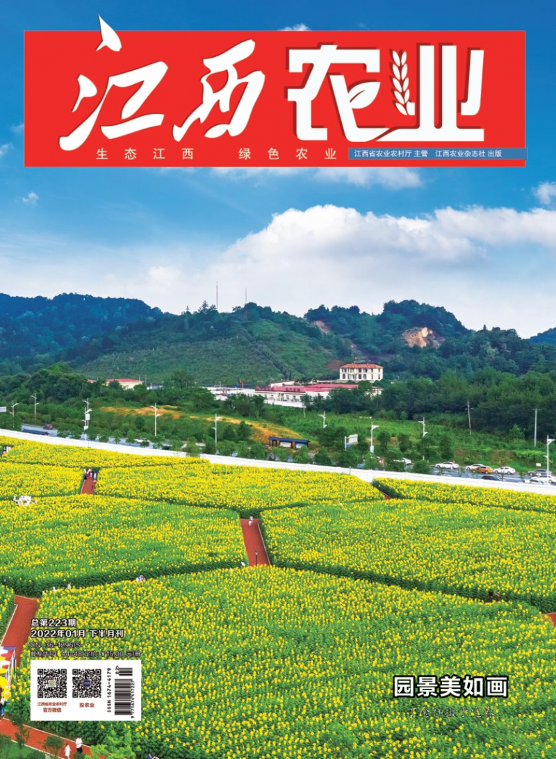 第2期