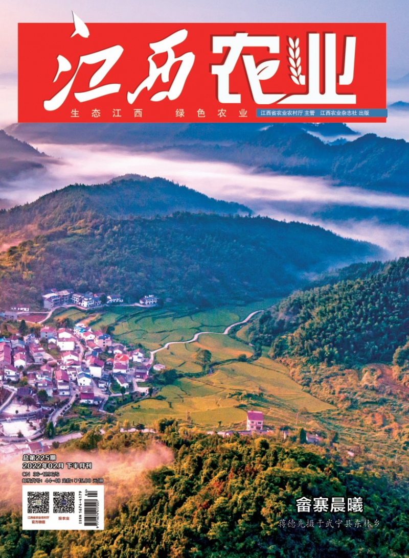 第4期