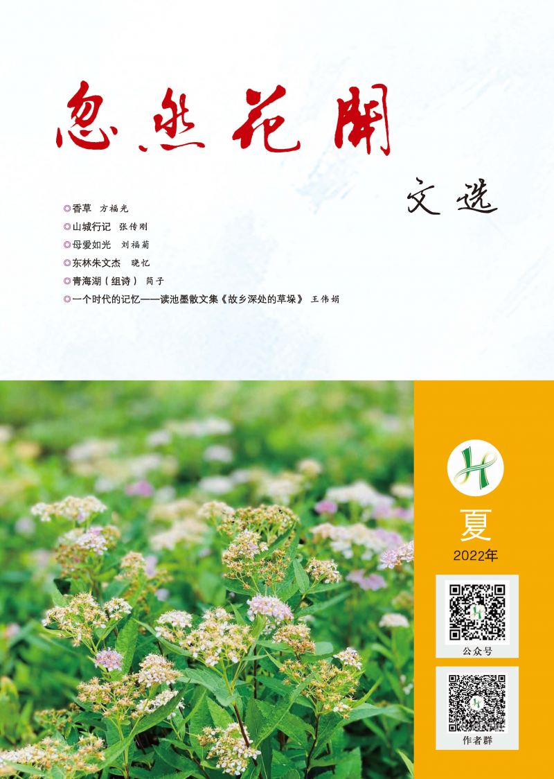 2022年第2期