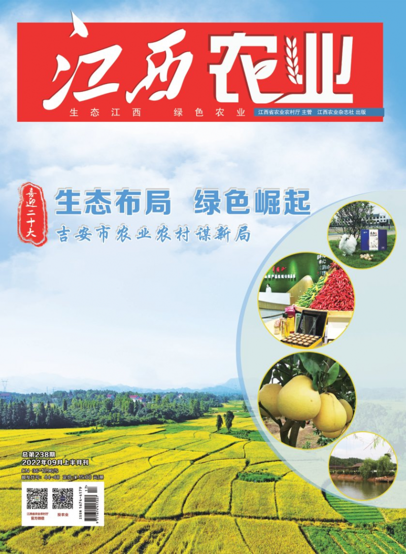 第238期