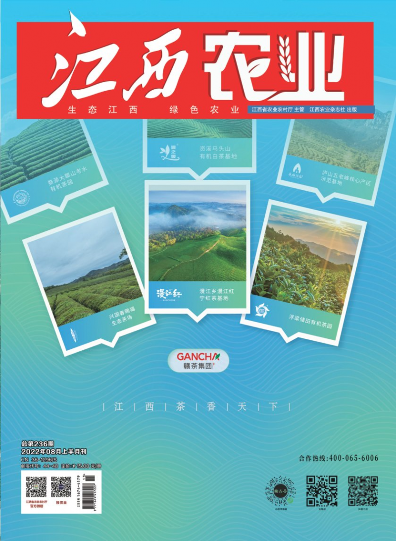 第236期