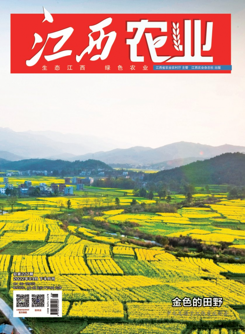 第227期