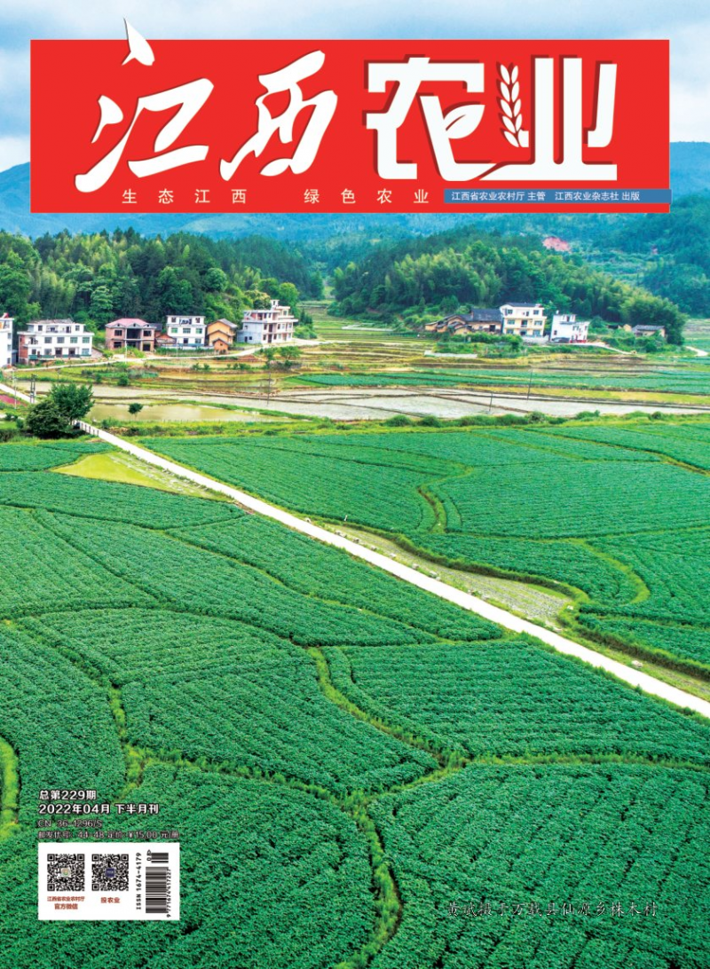 第229期