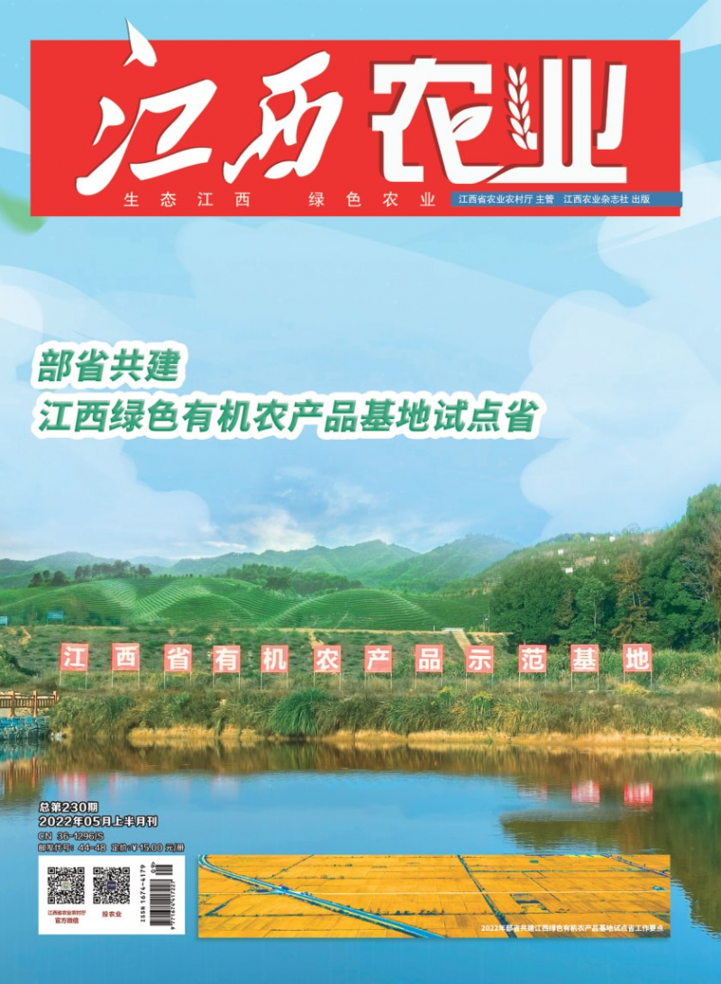 第230期