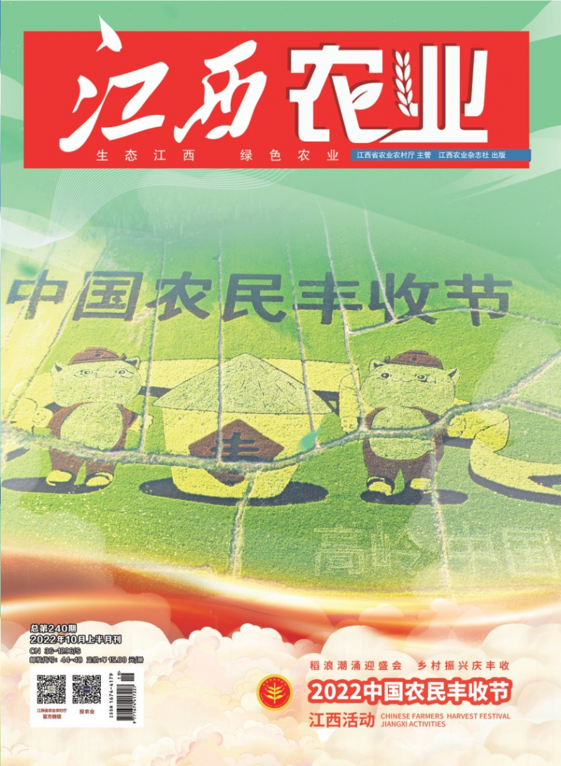 第240期