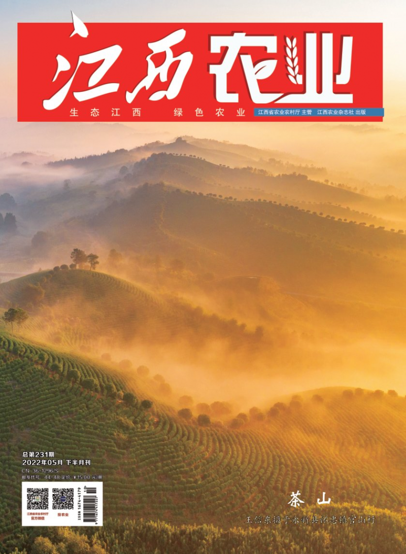 第231期