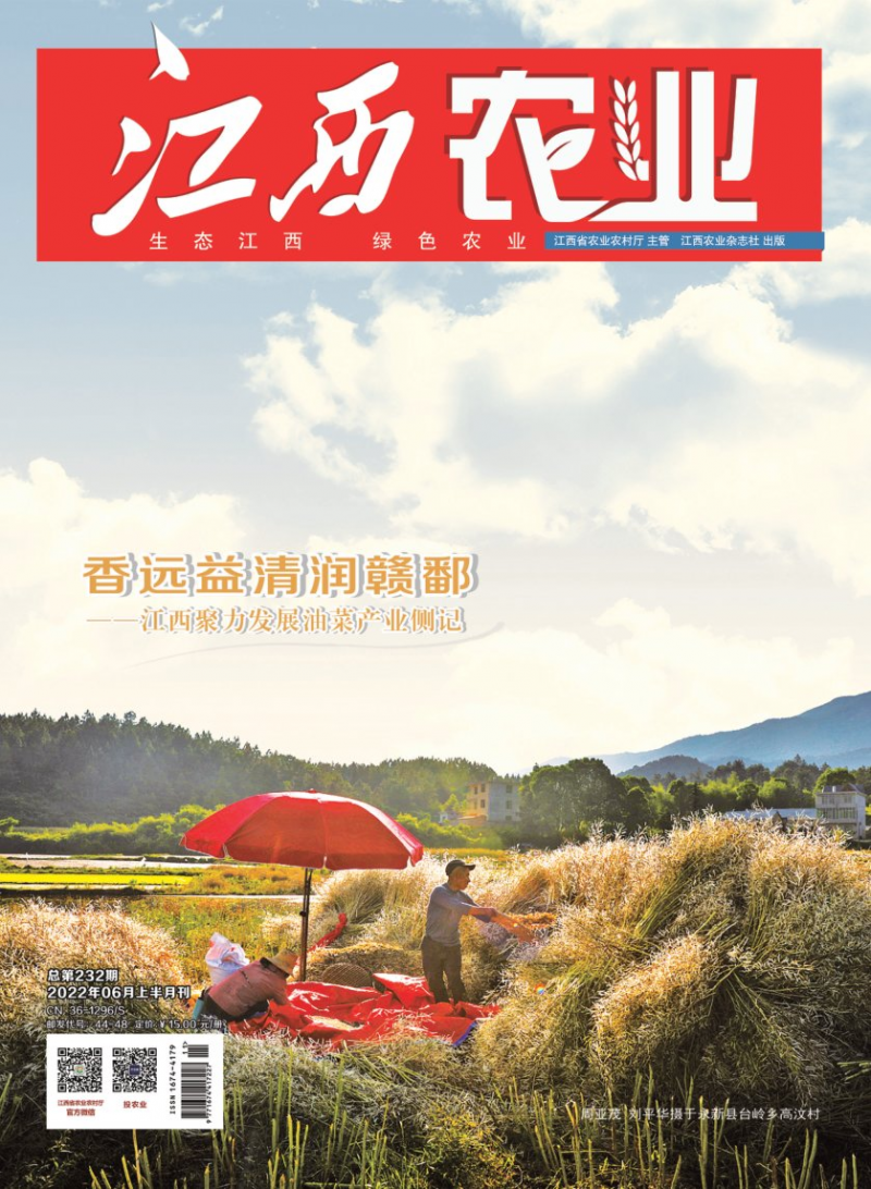 第232期