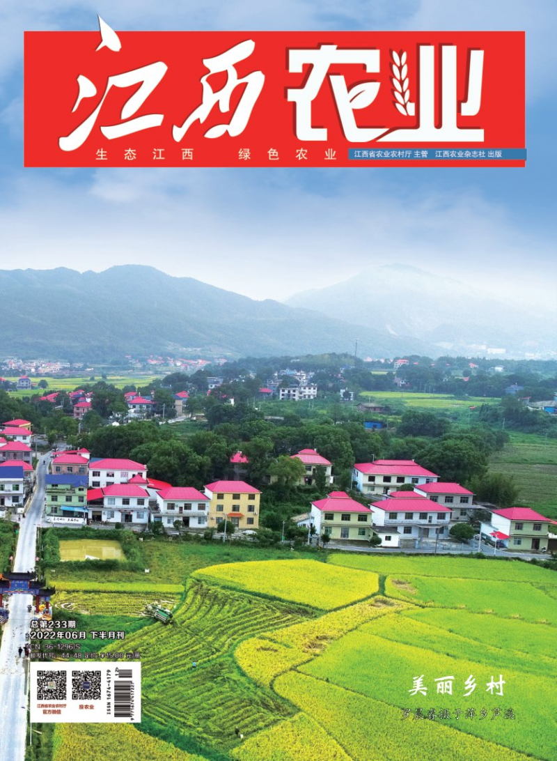 第233期