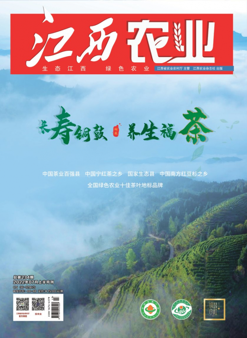 第234期