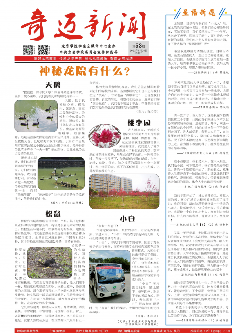 第53期