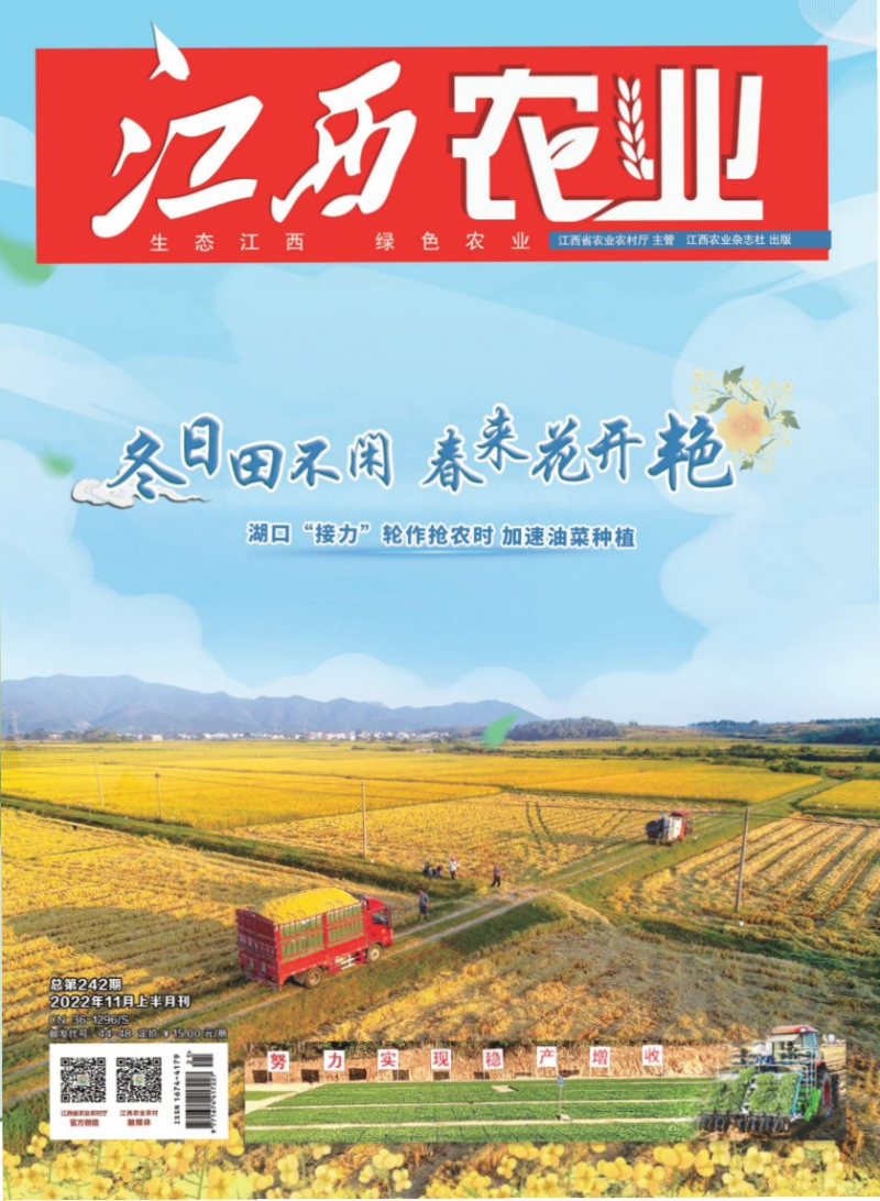 第242期