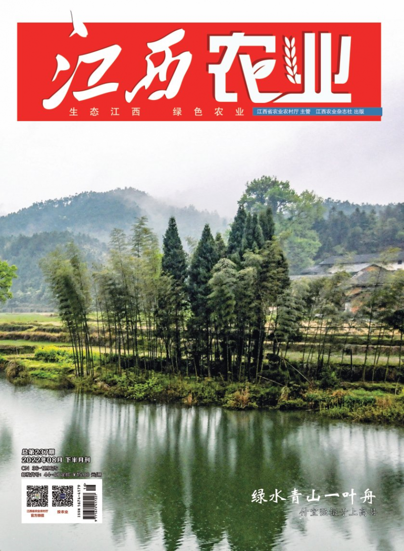 第237期